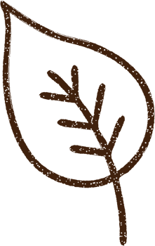 Old Leaf Charcoal Drawing png