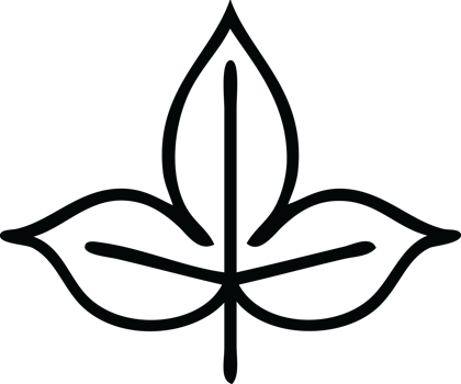 line drawing cartoon autumn leaf png
