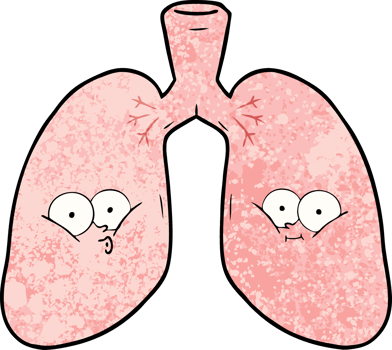 cartoon lungs drawing png
