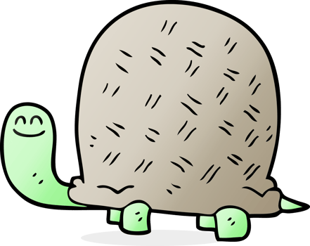 hand drawn cartoon tortoise png