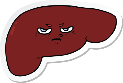 sticker of a cartoon liver png