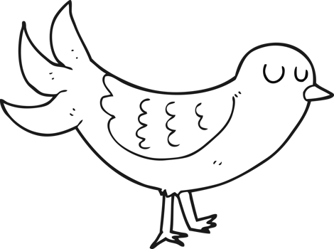 hand drawn black and white cartoon bird png