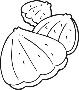hand drawn black and white cartoon oysters png