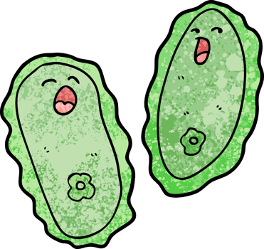 cartoon cells drawing png