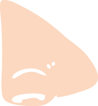 flat color illustration cartoon nose png