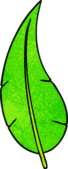 textured cartoon doodle of a green long leaf png