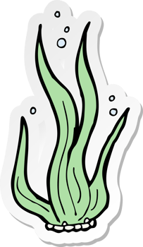 sticker of a cartoon seaweed png