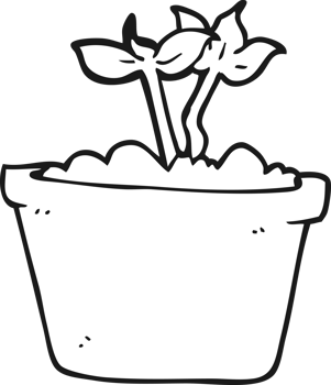 hand drawn black and white cartoon sprouting plant png