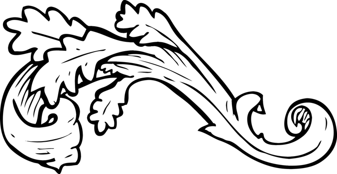 traditional hand drawn floral swirl png