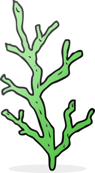 hand drawn cartoon seaweed png