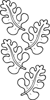 hand drawn black and white cartoon leaves png