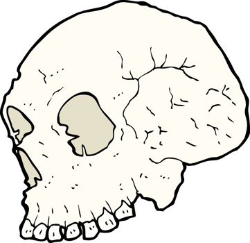 skull illustration drawing png