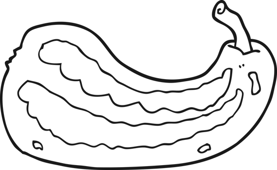 cartoon squash drawing png