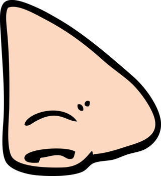 hand drawn doodle style cartoon nose png