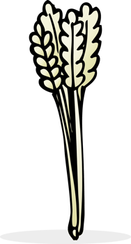 cartoon straw drawing png