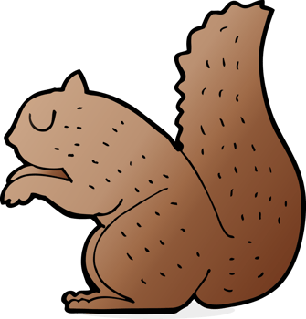 cartoon squirrel drawing png