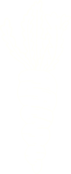 Carrot Chalk Drawing png