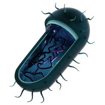 medical bacteria micro organism 3d icon png