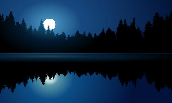 Dark blue night at river with forest and full moon vector