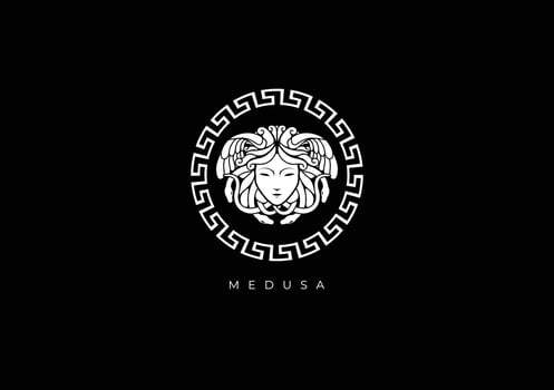 MEDUSA HEAD LOGO vector