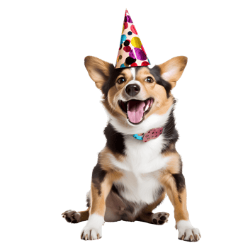 AI generated Cute and happy dog on transparent background PNG, easy to use. png