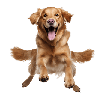 AI generated Cute and fun dogs on transparent background PNG