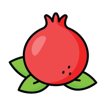 Pomegranate fruit vector design, organic and healthy fruit