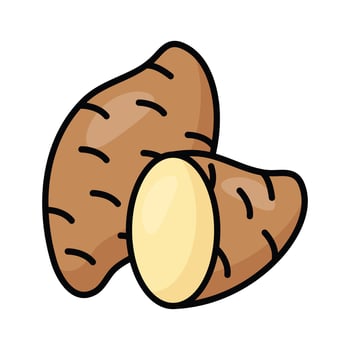 Sweet potato vector design, healthy and organic food