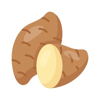 Sweet potato vector design, healthy and organic food