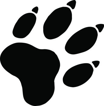 mark scratch beast png