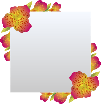 canna flowers cartoon illustration png