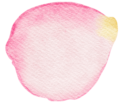watercolor pink rose petal png
