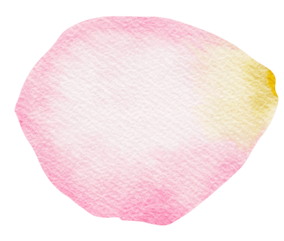 watercolor pink rose petal png