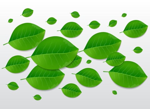 Nature green leaves Vector abstract background illustration