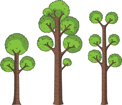 Cartoon Trees on White vector