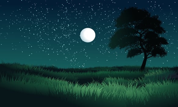 Amazing night landscape with moon and stars vector