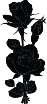 Rose silhouette design on a white background vector
