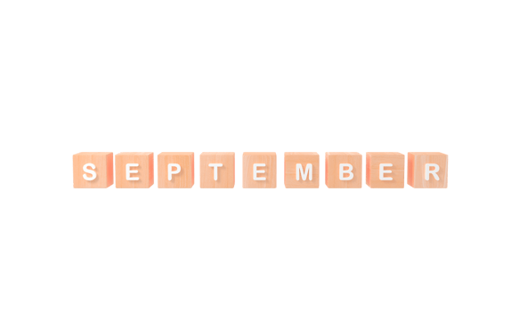 Minimal white word September wooden cubes PNG. Winter season. 3d rendering png