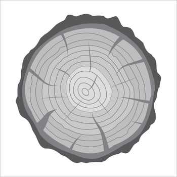 Cross section of tree stump or trunk. Wood cut. Vector illustration in flat style