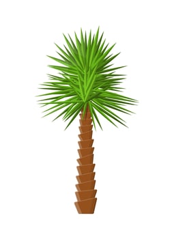 Tropical green palm. Jungle leaves. Coconut palm, monstera, fan palm, rhapis. Natural leaf, exotic branches tree. Vector illustration in flat style