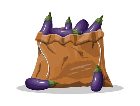 Fresh eggplant with green leaves in canvas bag. Eggplant isolated on white background. Organic healthy food. Vegetarian nutrition. Vector illustration in flat style