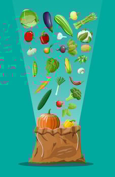 Canvas bag full of vegetables. Farming fresh food, organic agriculture products. Autumn harvest. Onion, cabbage, pepper, pumpkin, cucumber, tomato and other vegetables. Vector illustration flat style
