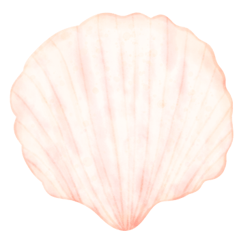 Sea shell, shell, under the sea png
