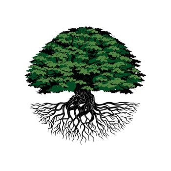 vintage vector tree root logo. concept of big tree with roots. construction design, housing, education, health and others.