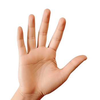 AI generated Expressive Hand Reaching Out with Palm Up Isolated on Transparent Background png