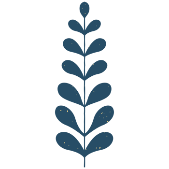 AI generated a stylized plant with leaves on a transparent background png
