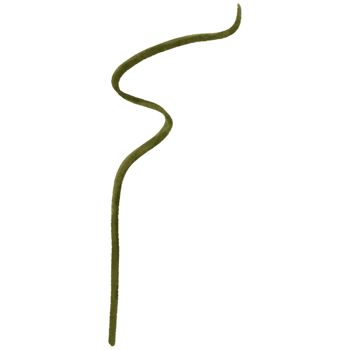 AI generated a stick with a long, green stem on it png