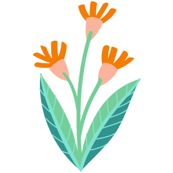 AI generated orange flowers with green leaves on a transparent background png