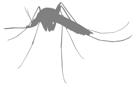 Mosquito Silhouette, can use for Art Illustration Pictogram, Website, and Graphic Design Element. Format PNG