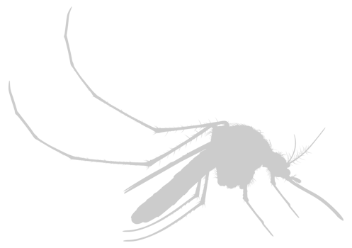 Mosquito Silhouette, can use for Art Illustration Pictogram, Website, and Graphic Design Element. Format PNG